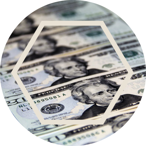Money icon